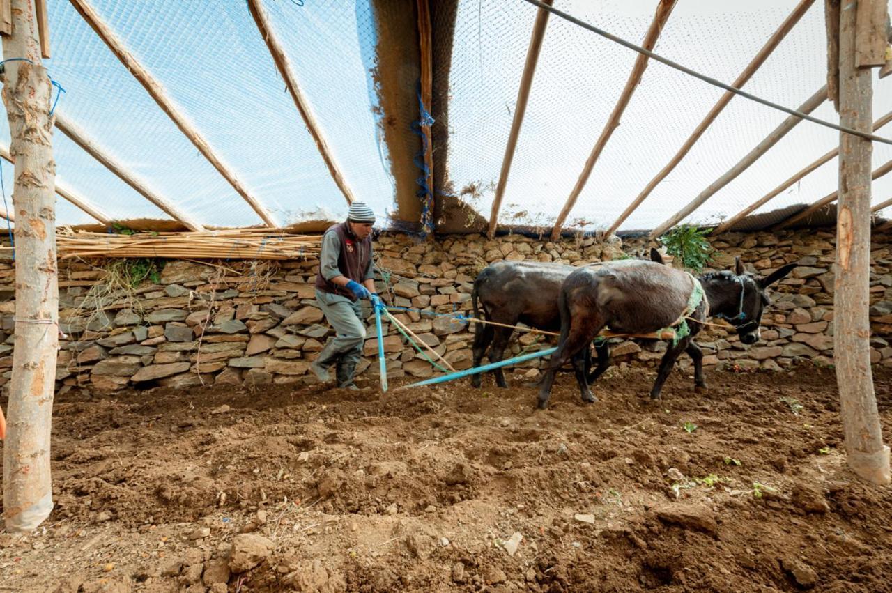 Touda Ecolodge Atlas Mountains Zawyat Oulmzi 외부 사진