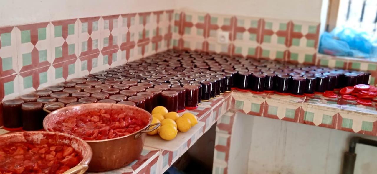 Touda Ecolodge Atlas Mountains Zawyat Oulmzi 외부 사진